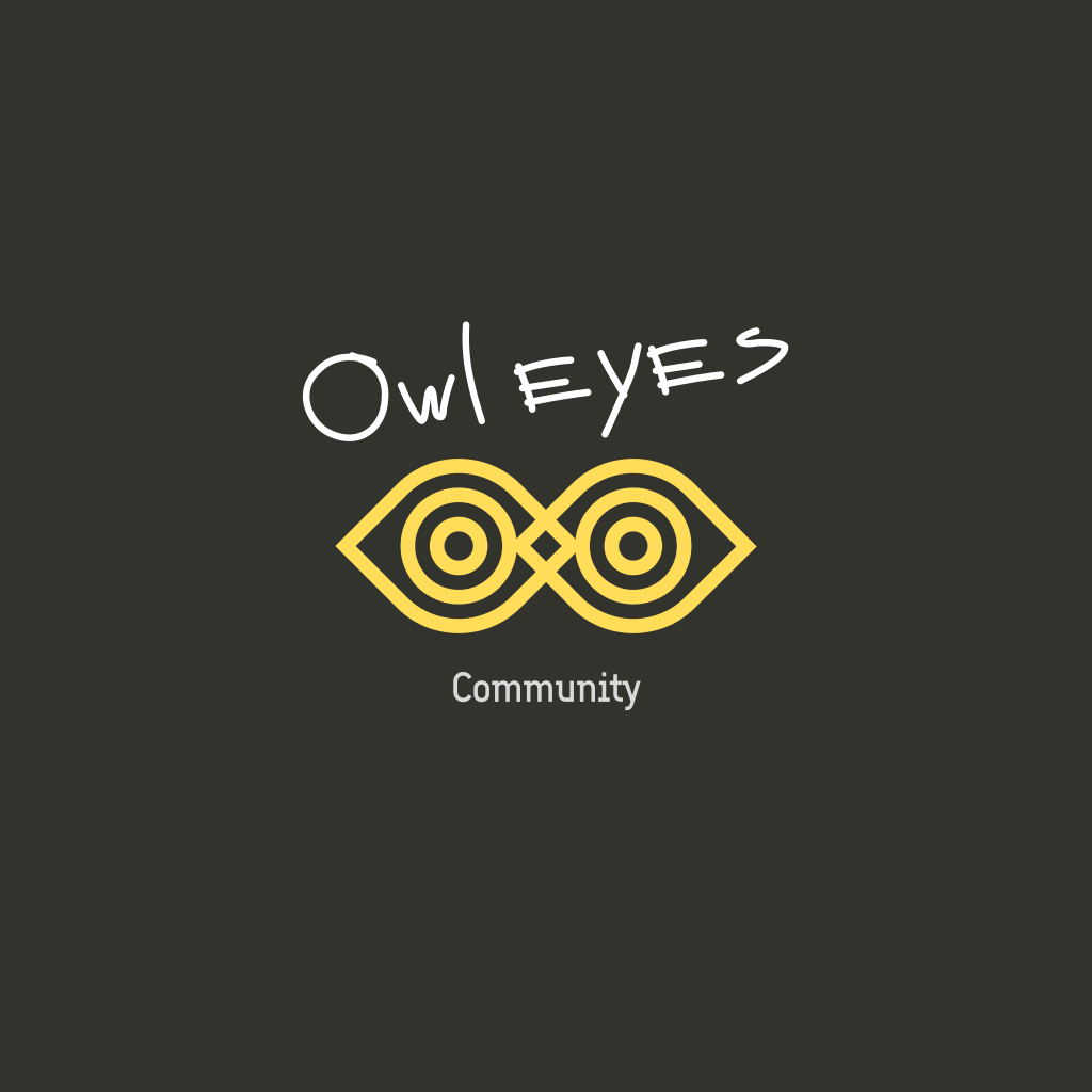 Geometric Eyes Owl logo Geometric Eyes Owl logo
