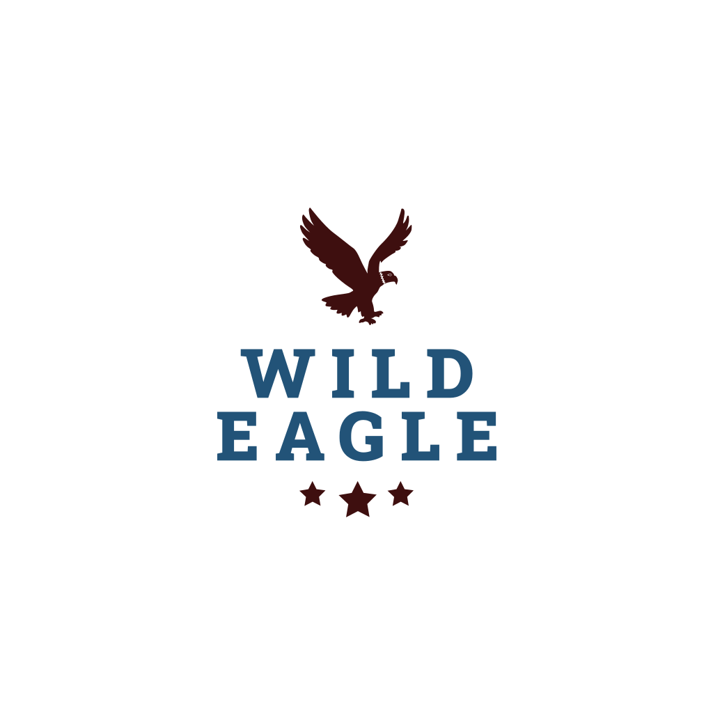 Logotipo De Juego De Águila Voladora