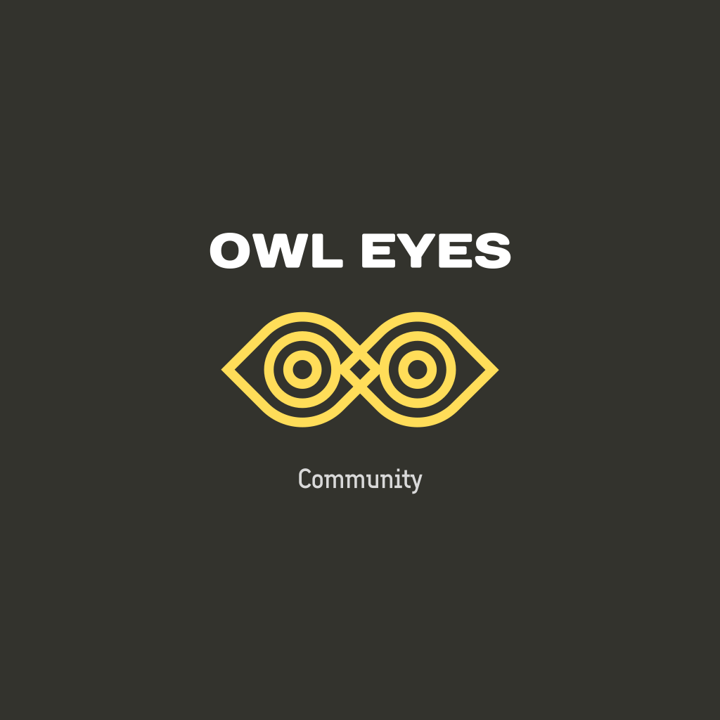Owl Eye logo Owl Eye logo