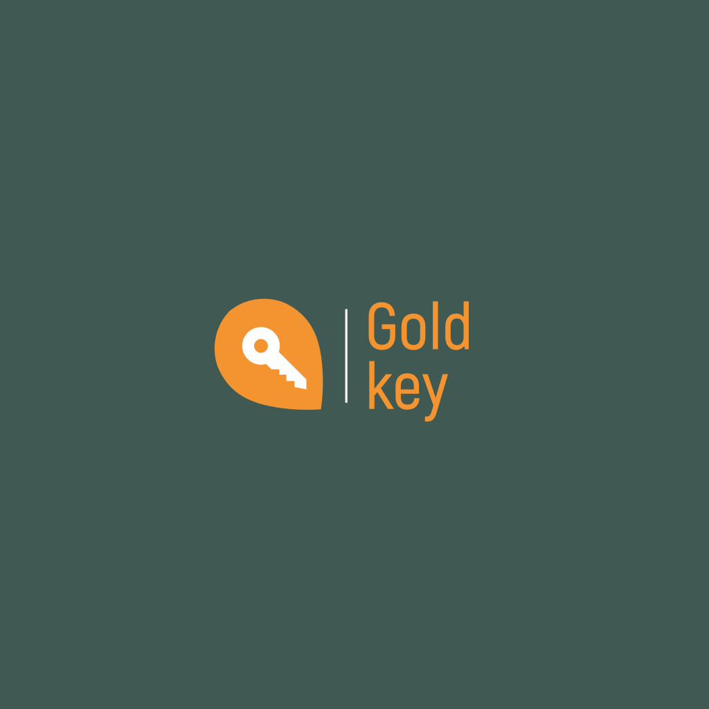 Key Geolocation icon logo Key Geolocation icon logo