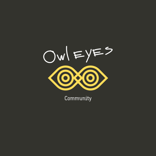 Geometric Eyes Owl logo Geometric Eyes Owl logo