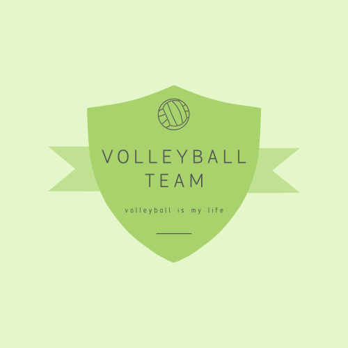 Logotipo Escudo E Voleibol Logotipo Escudo E Voleibol