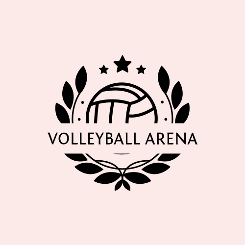 Volleyball logo