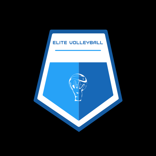 Volleyball logo