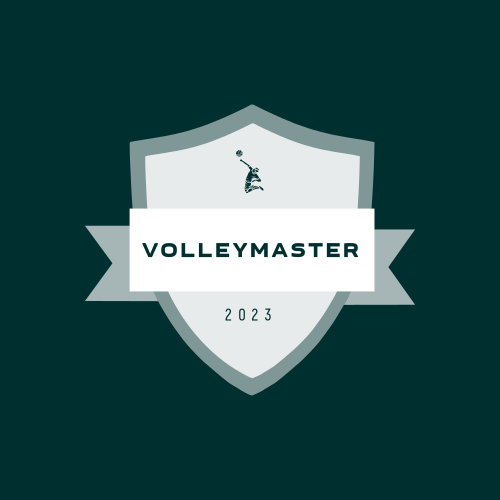 Volleyball logo