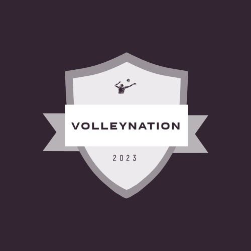 Volleyball-logo