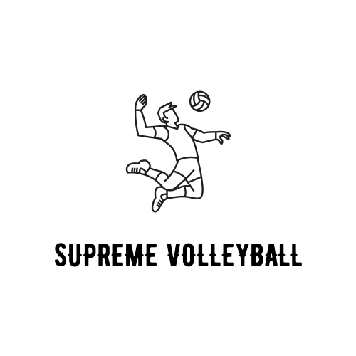 Volleyball logo