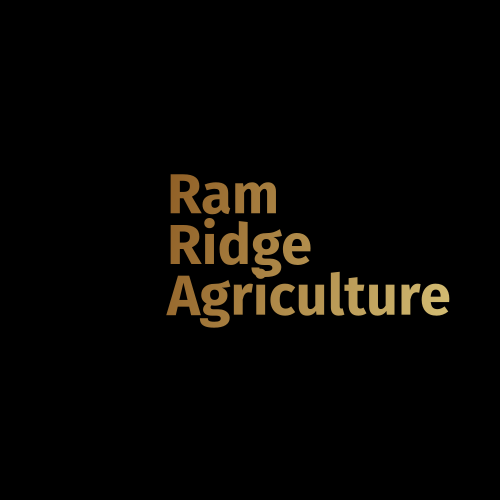 Ram Logosu