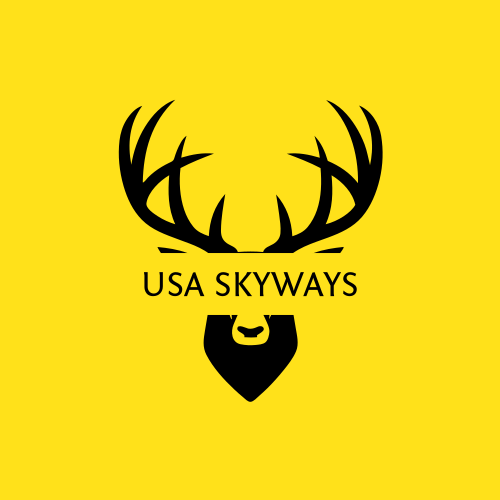 Usa logo