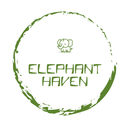 Logotipo Do Elefante