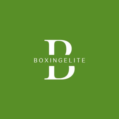 Logotipo De Boxe