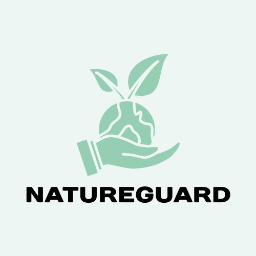 Environment logo