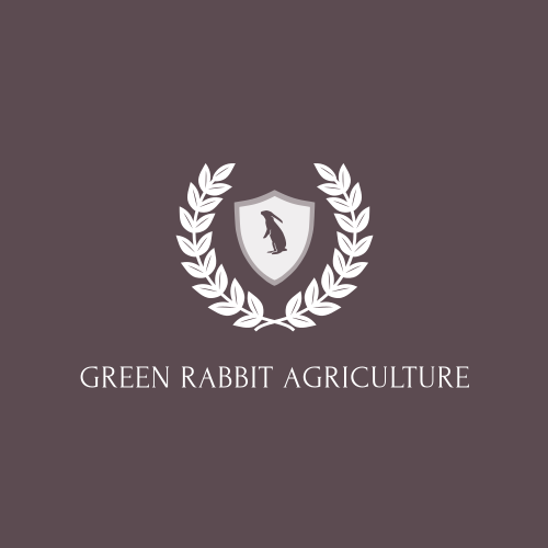 Rabbit logo