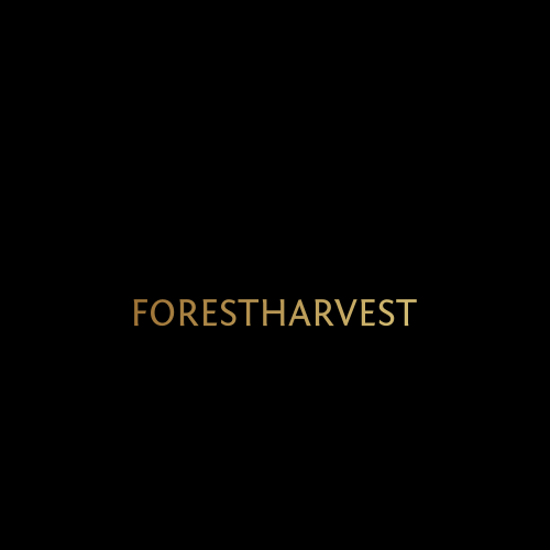 Logotipo Da Floresta