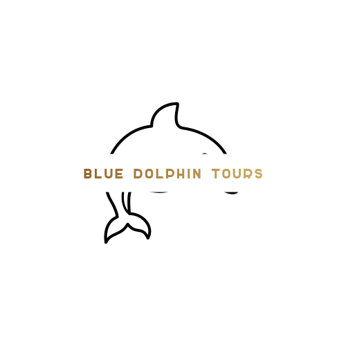 Dolphin logo