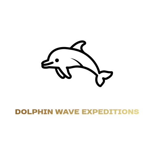 Dolphin logo