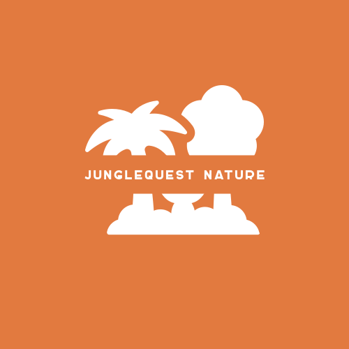 Logo De La Jungle