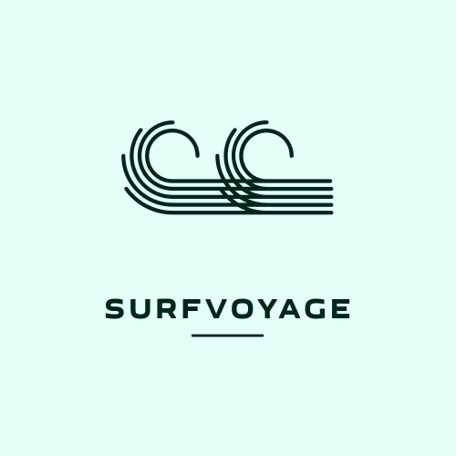 Logotipo De Surfe