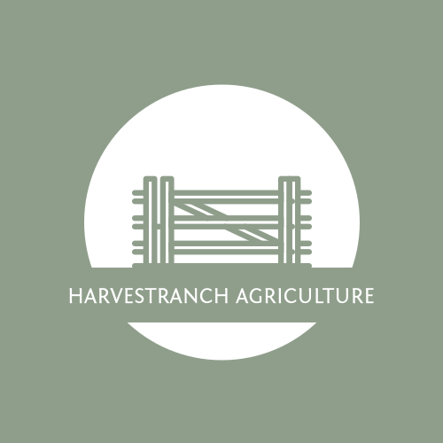 Ranch-logo