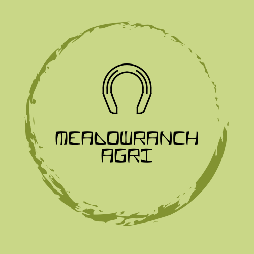 Logo Du Ranch