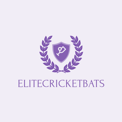 Logo De Batte De Cricket