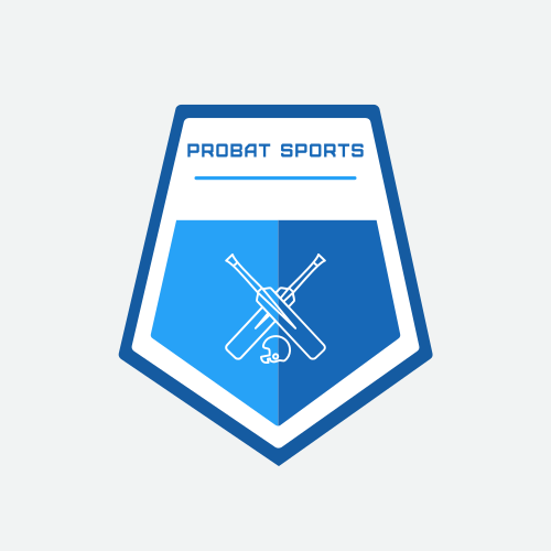 Logo De Batte De Cricket