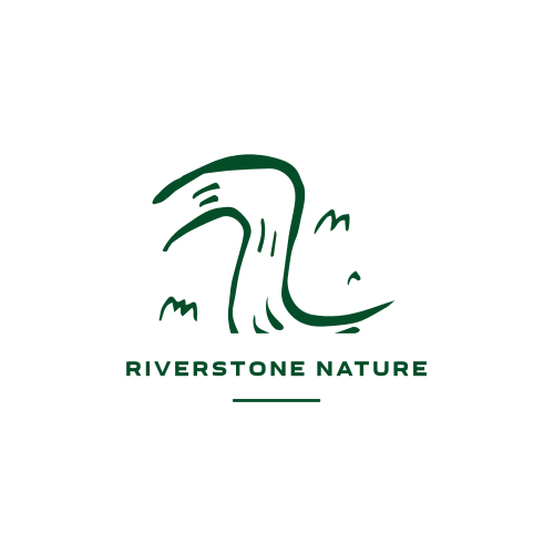 River logo