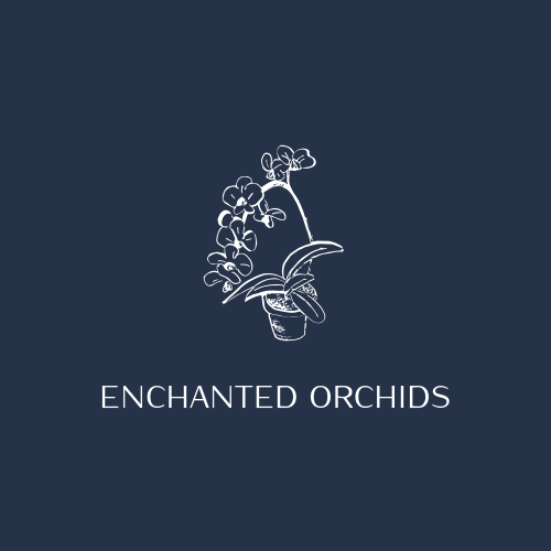 Logotipo Da Orquídea