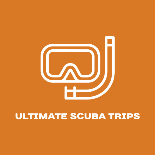 Scuba diving logo