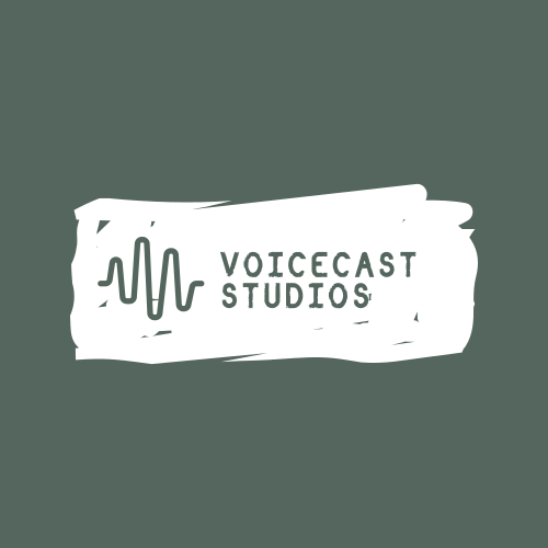 Voice logo