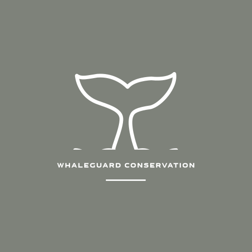 Whale logo