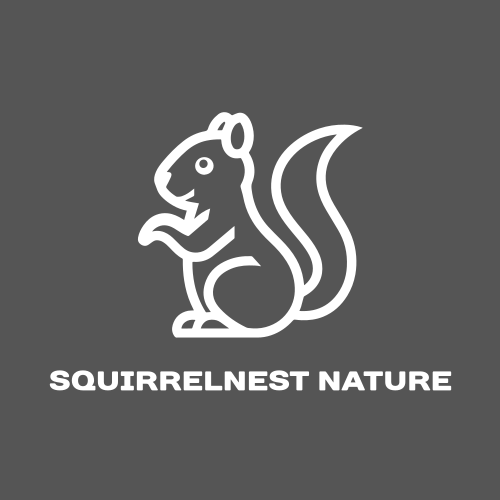 Squirrel logo