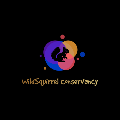 Squirrel logo