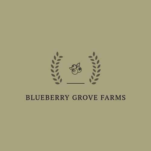 Blueberry logo