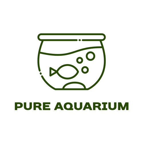 Logo D'aquarium