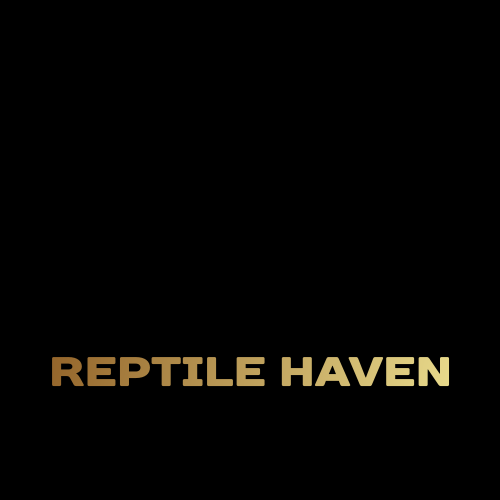 Logotipo De Réptil