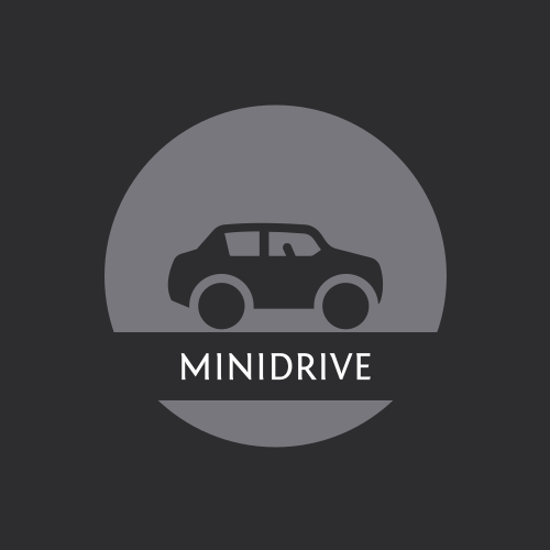 Mini Logo