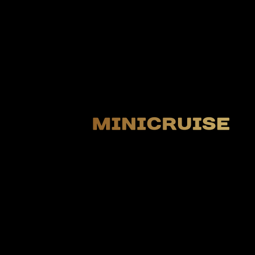 Mini logo