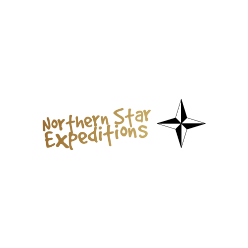 Logotipo De La Estrella Del Norte