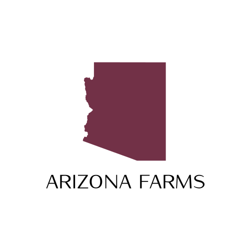 Logo Dell'arizona