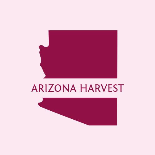 Logo Dell'arizona