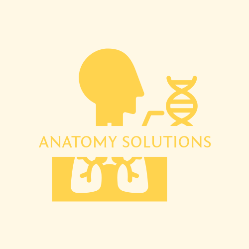 Anatomy logo