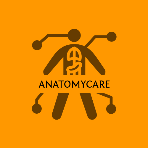 Logotipo De Anatomia