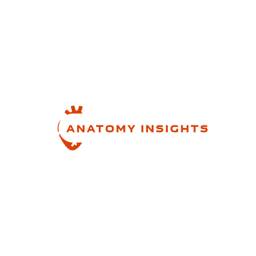 Anatomy logo