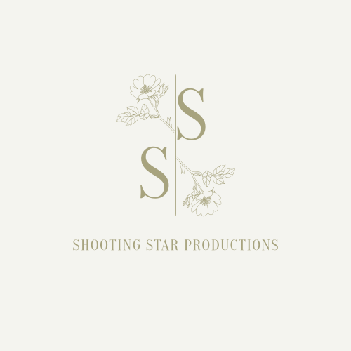 Shooting star logo