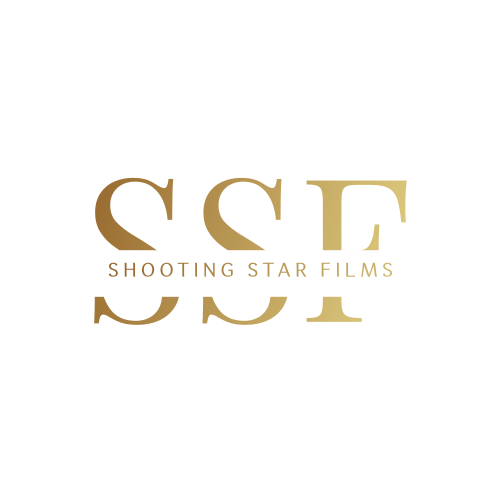 Shooting star logo