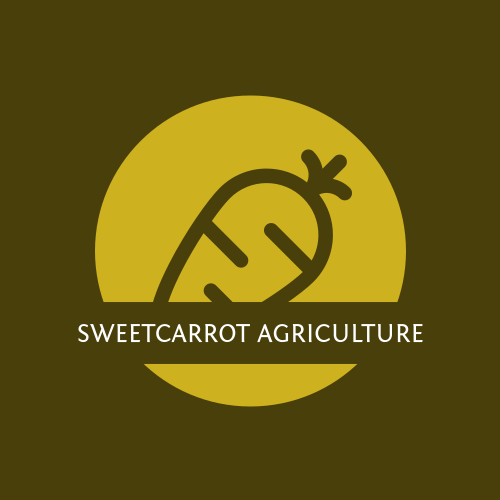 Carrot logo