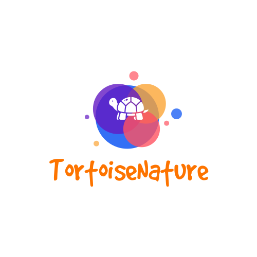 Tortoise logo