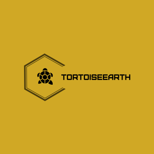 Tortoise logo