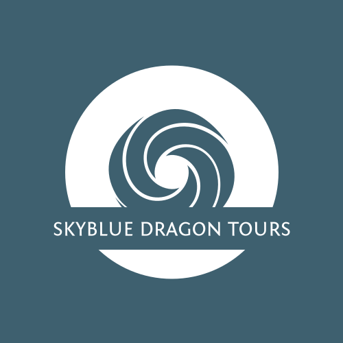 Blue dragon logo